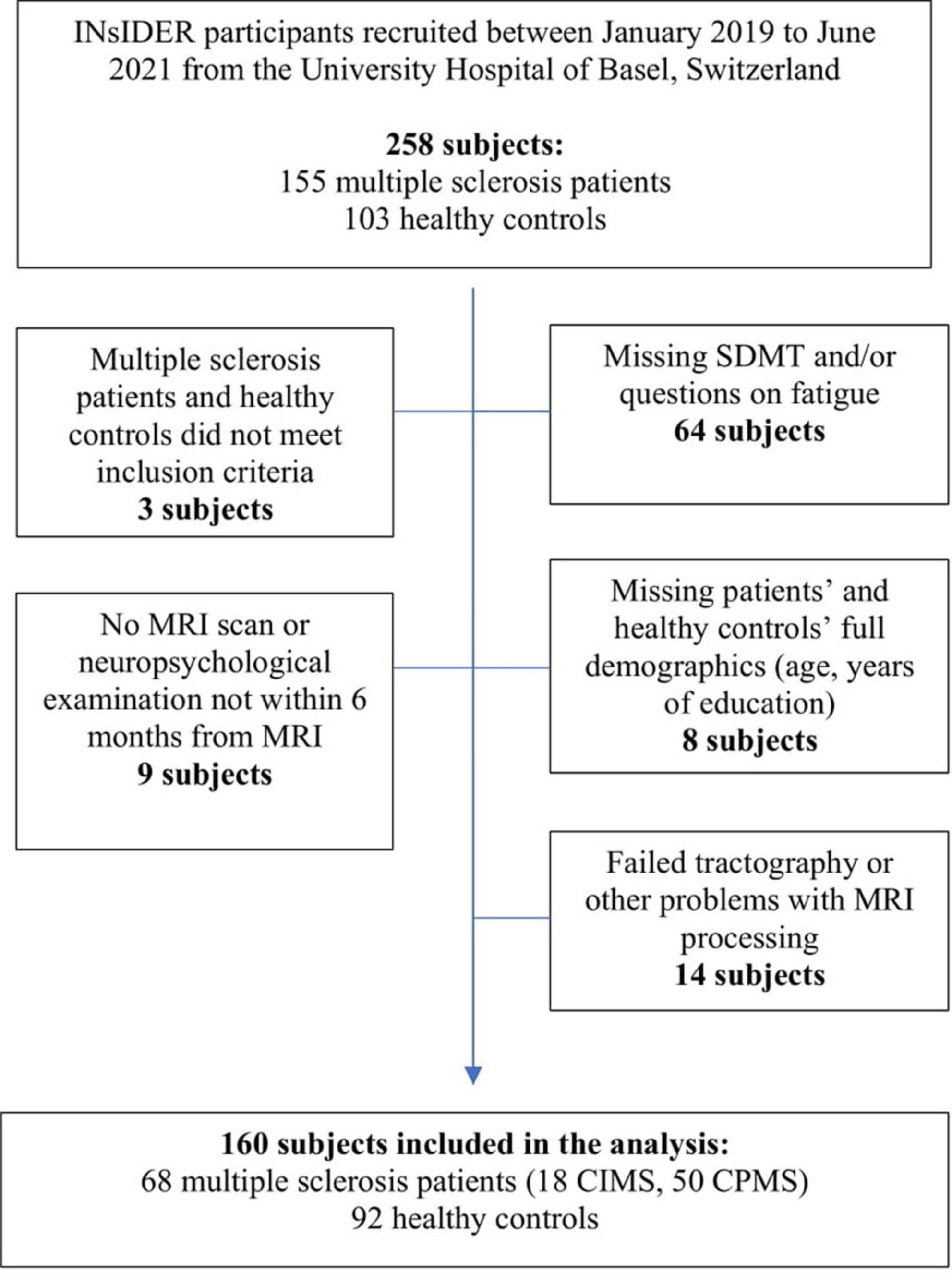 An investigation of the association between focal damage and global network properties in cognitively impaired and cognitively preserved patients with multiple sclerosis